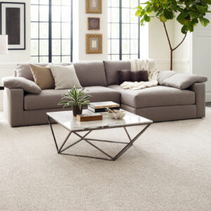 Living room carpet flooring | Hernandez Wholesale Flooring