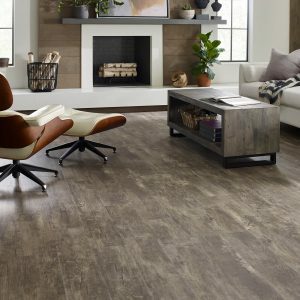 Paramount Plus vinyl waterproof flooring | Hernandez Wholesale Flooring