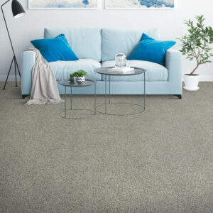 Carpet Flooring | Hernandez Wholesale Flooring