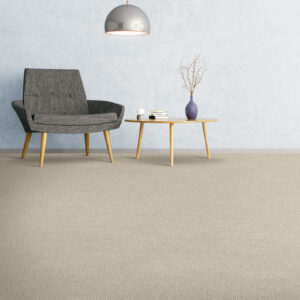 Comfortable carpet | Hernandez Wholesale Flooring
