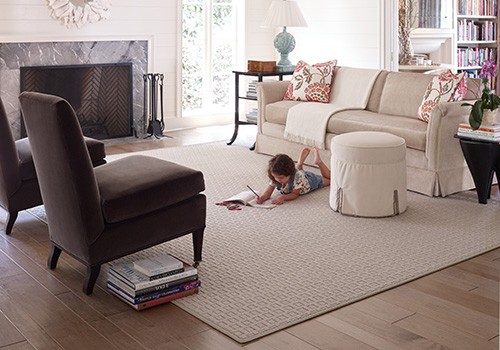 Area rug for living room | Hernandez Wholesale Flooring