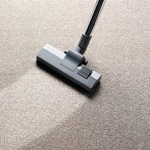 Carpet Care & Maintenance | Hernandez Wholesale Flooring