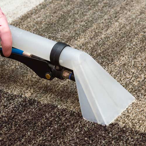 Carpet cleaning | Hernandez Wholesale Flooring