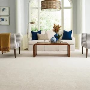 Carpet in living room | Hernandez Wholesale Flooring
