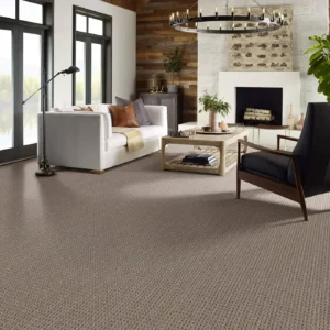 Carpet in a sitting room | Hernandez Wholesale Flooring