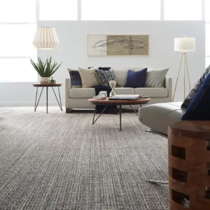 Carpet in a modern living room | Hernandez Wholesale Flooring